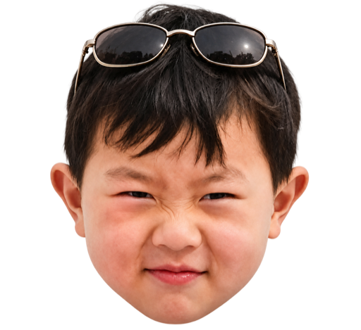 Hang 戴着太阳镜的头像